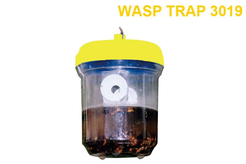 Wasp Trap 3019