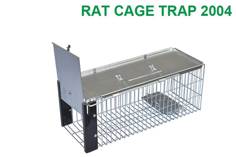 Rat Trap Cage 2004