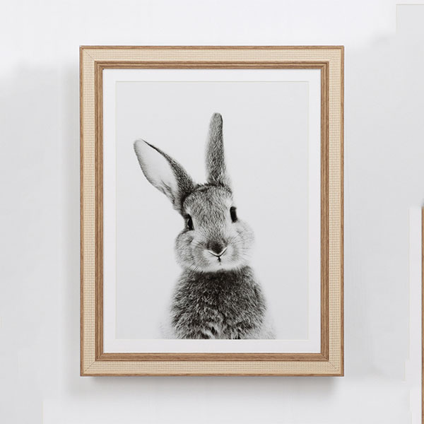 إطارات صور أرنب لطيف من جدار الفن