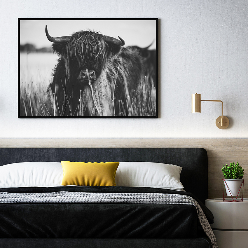 Geraamde Swart en Wit Highland Cow Canvas Dekoratiewe Muurkuns