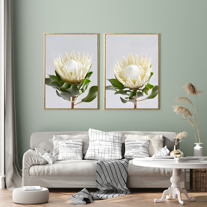 Roze kening protea blom dekorative skilderij mei frame muorre canvas