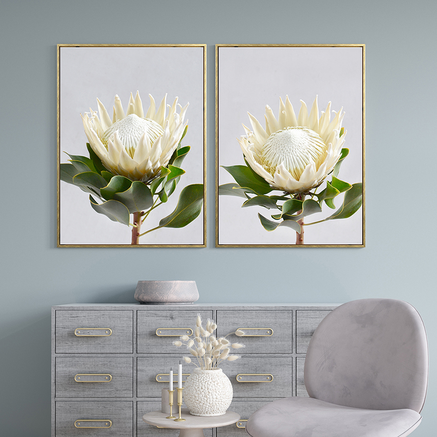 Pienk koning protea blom dekoratiewe skildery met raam muur seil