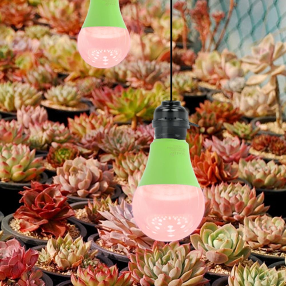 Lámpadas de cultivo A60 Lámpada de plantas Lámpadas de cultivo Led Lámpadas de aforro de enerxía Lámpadas de cultivo Led
