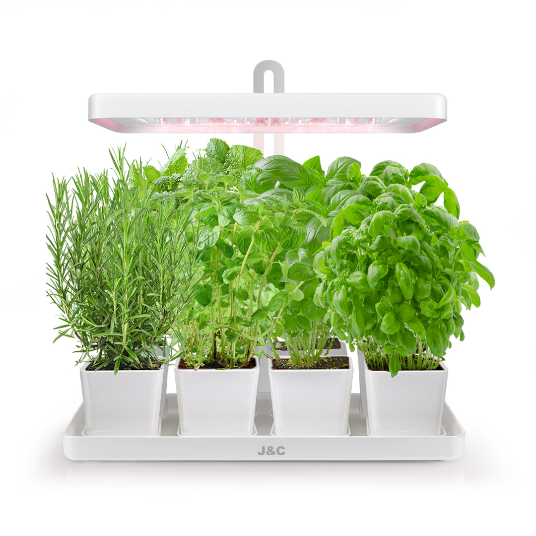 MG101 Herb Garden Người mới bắt đầu Bộ dụng cụ làm vườn Hệ thống trồng trong nhà Người làm vườn trong nhà Nhà bếp