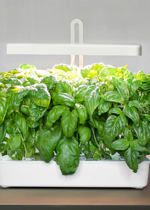 11 Steps to Solve All Your Puzzles of smart growing system.