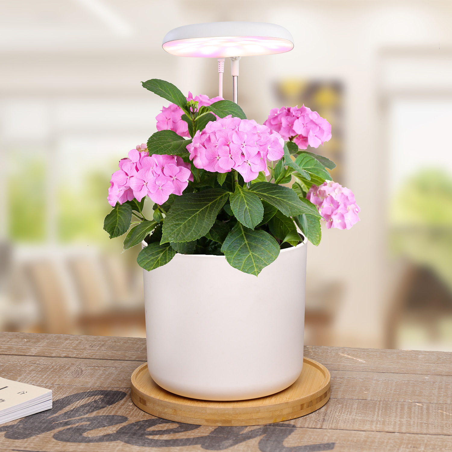 Lámpara de escritorio para iluminación de plantas de interior MG409, jardín interior con kits de jardín para plantas de interior
