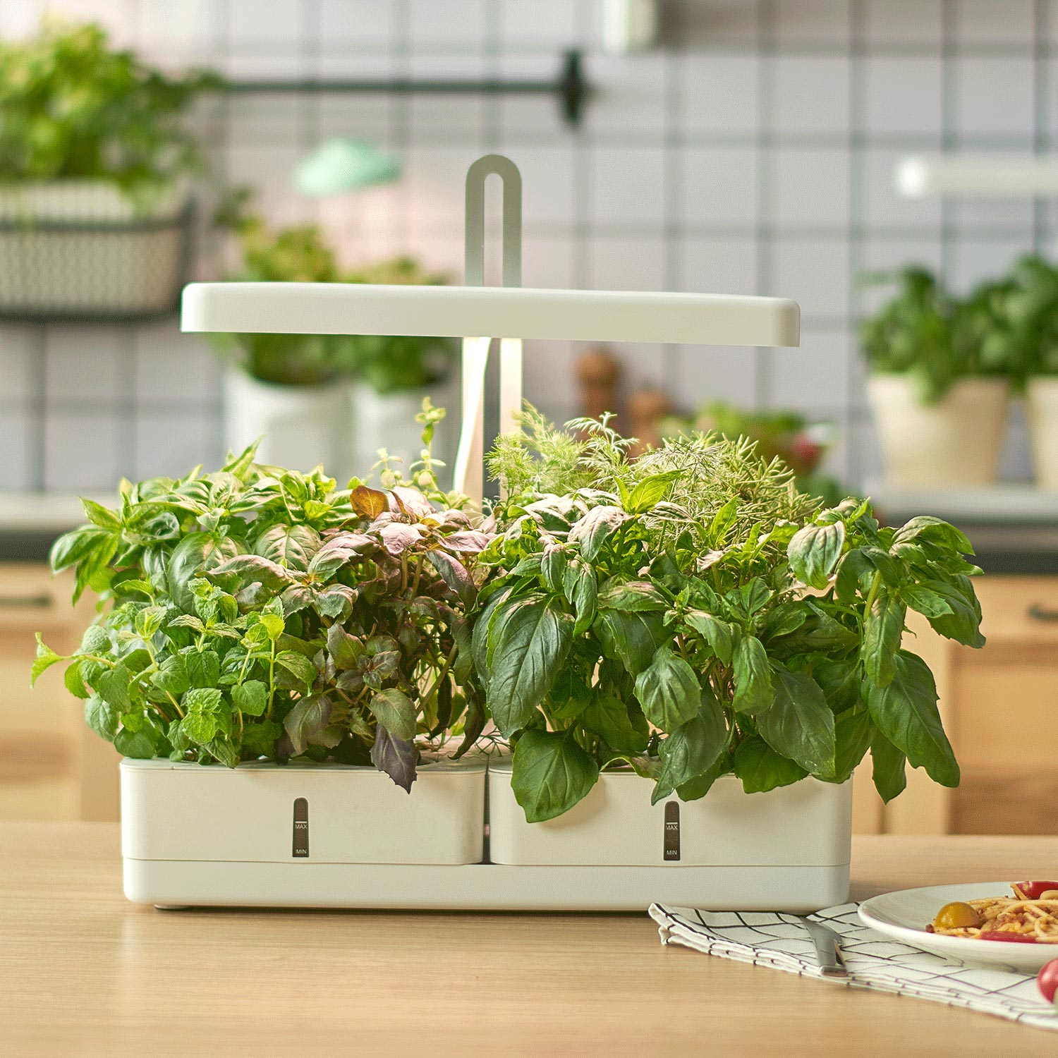 MG102 Indoor Hydroponic Bilje Garden Herb Smart Gardening Indoor Vegetable Garden Kit