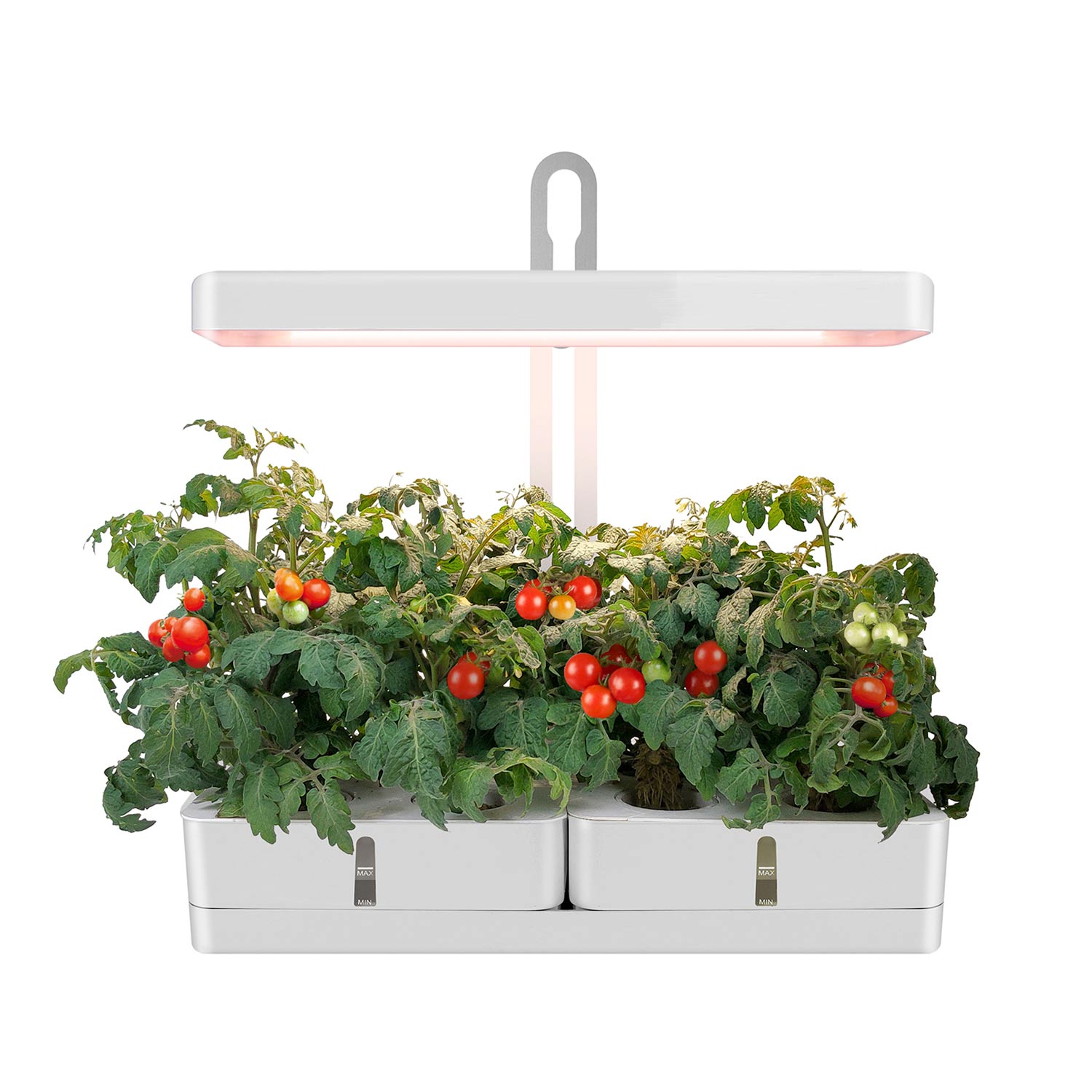 MG102 Plantas hidropónicas de interior Herb de xardín Xardinería intelixente Kit de xardín de hortalizas de interior