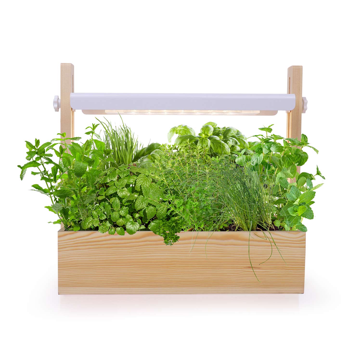 MG412 комнатные травы для мини-сада, гидропонные растения, полный спектр, светодиодный стартовый набор для сада