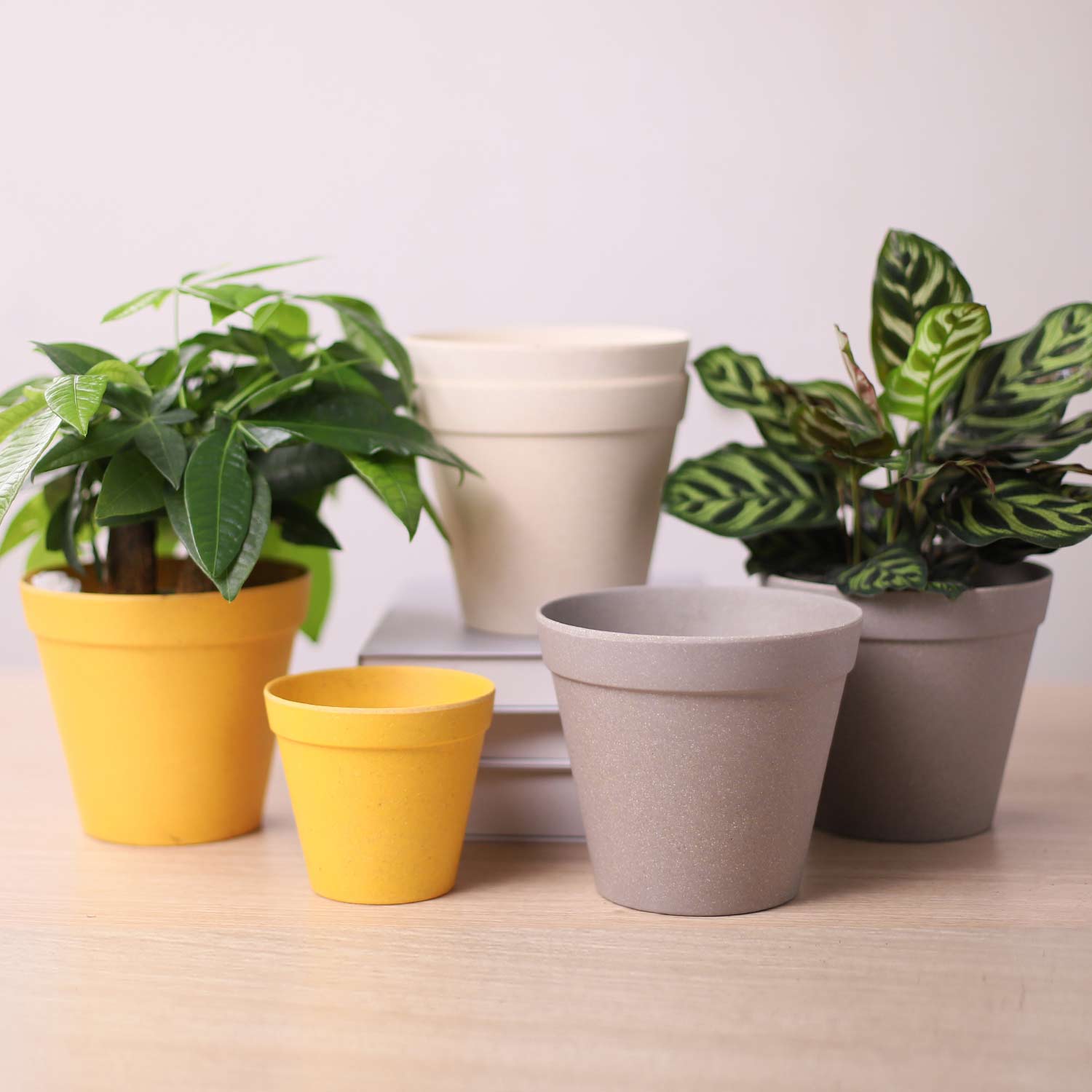 J&C Plantadores de vasos de plantas de interior para ervas flores mini plantas material natural durável