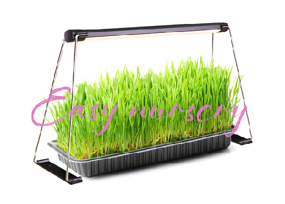 -microgreen-grow-lights-supplier