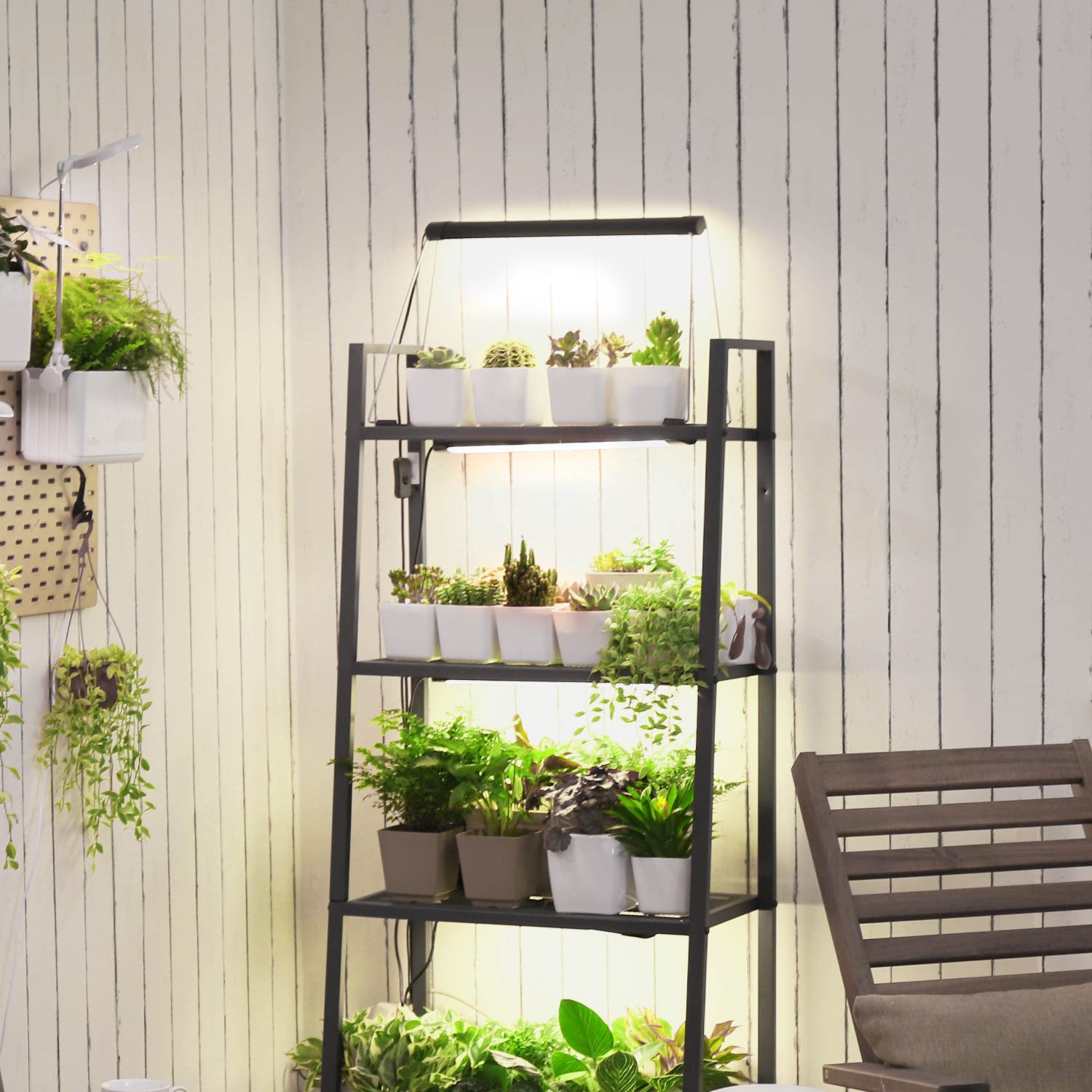 TG101 mini garden indoor, herb garden starter kit, plant light for succulents