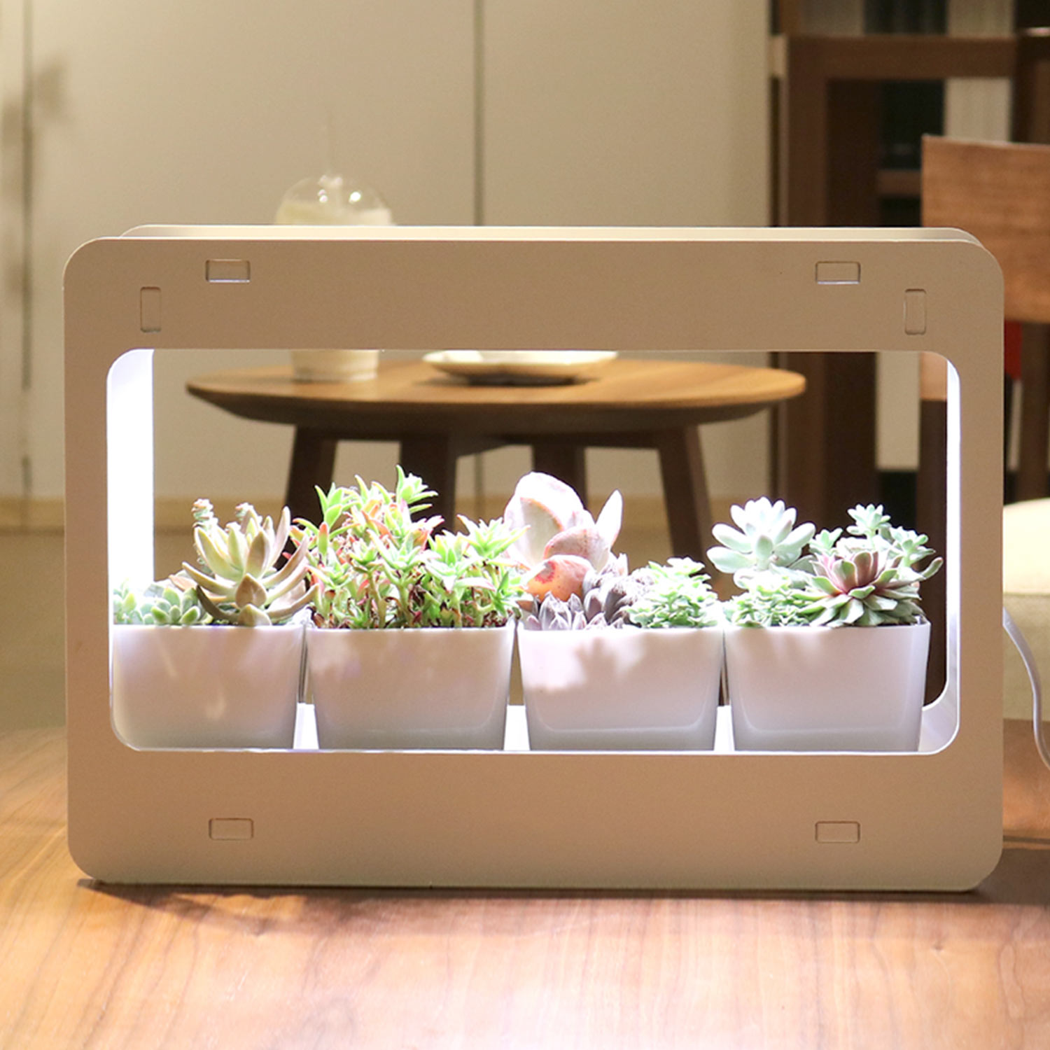 MG004 Plant Lamp Panimalay Miniature Garden nagtubo nga Herb Lights Mini Herb Garden Indoor