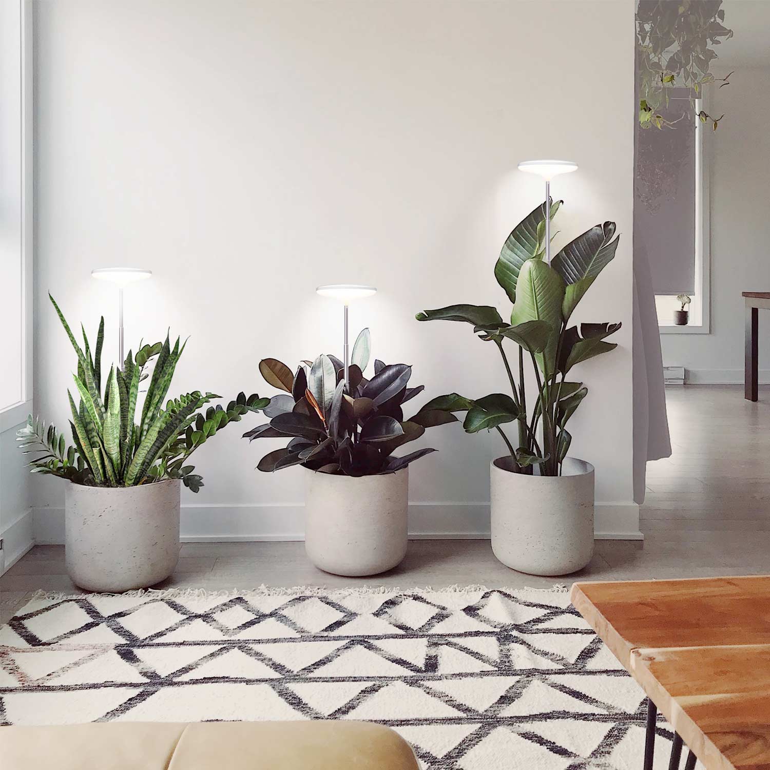 TG004 Endoma Smart Plant Grow Light Lampo Ĝardeno Grow Lights Ornamaj Planto Lumoj
