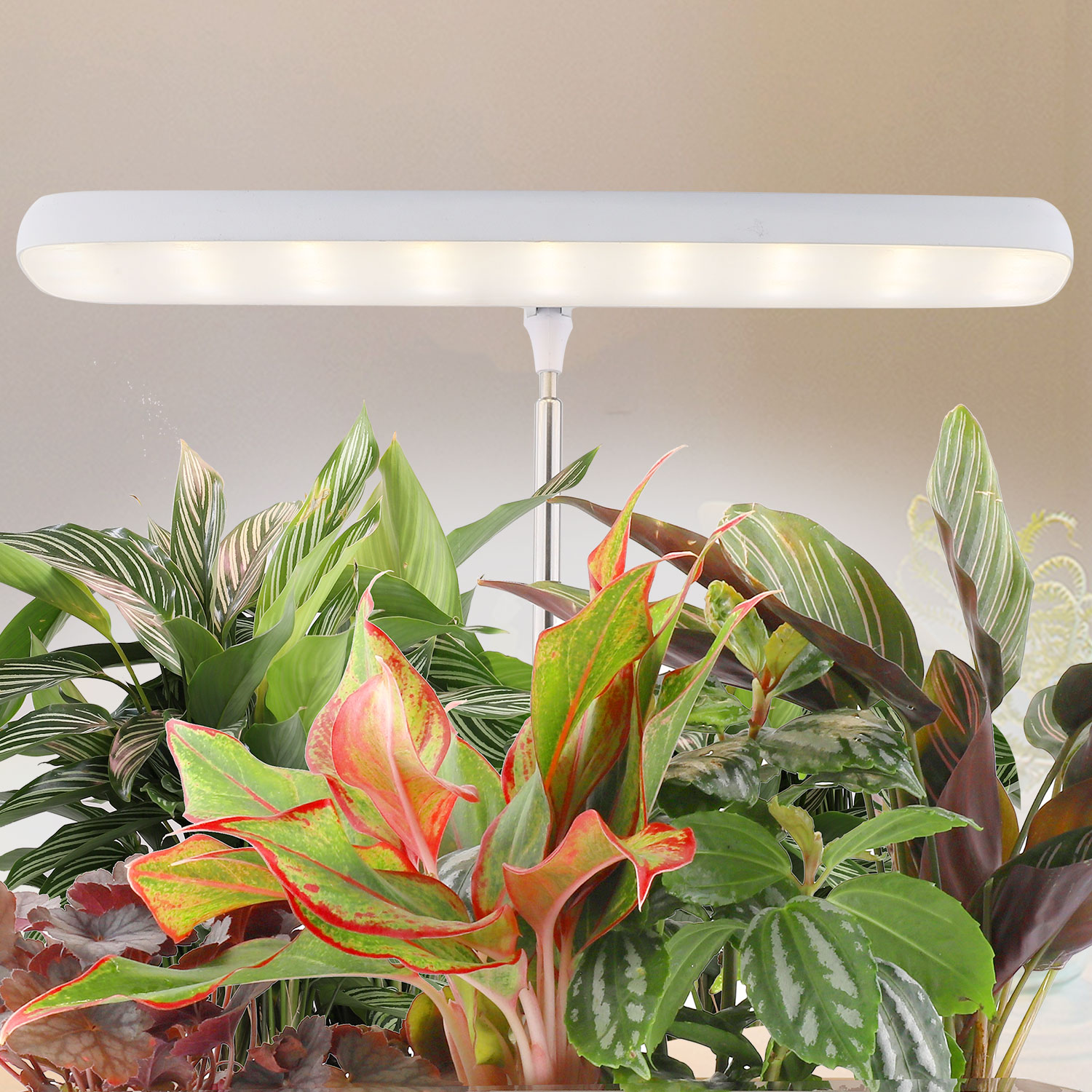 MG410 led house plant indoor plant lights դեկորատիվ աճող լամպի led մատակարար