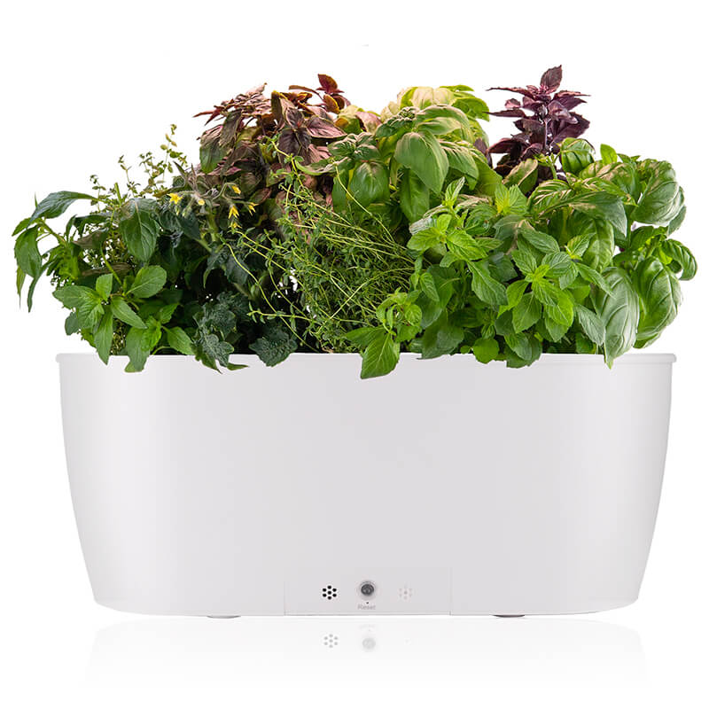 Save on AeroGarden indoor herb growing kits at Amazon