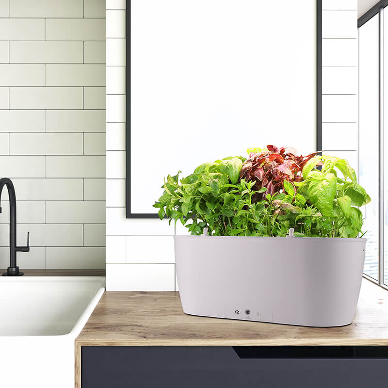 SPH008 Smart WiFi fungsional tanduran njero ruangan starter kit sayur-sayuran taman jamu