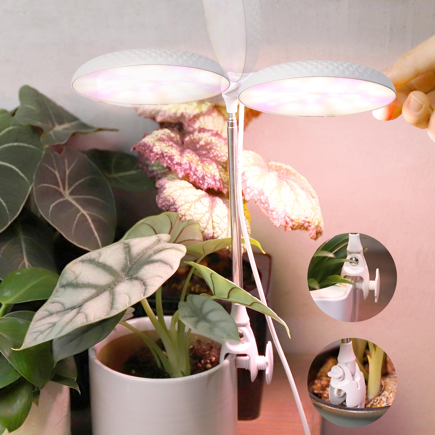 TG302 լրիվ սպեկտրի led թեթեւ փոքր բույսերի լամպեր աճող բույսերի համար