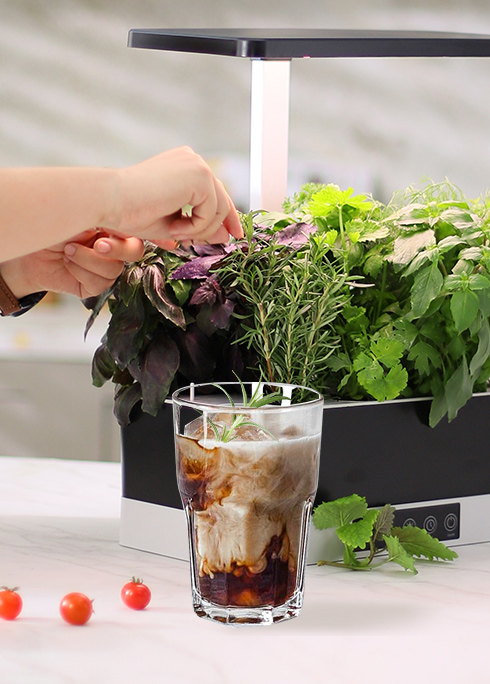 Добивање специјален летен пијалок со комплет за хидропонска градина во затворен простор