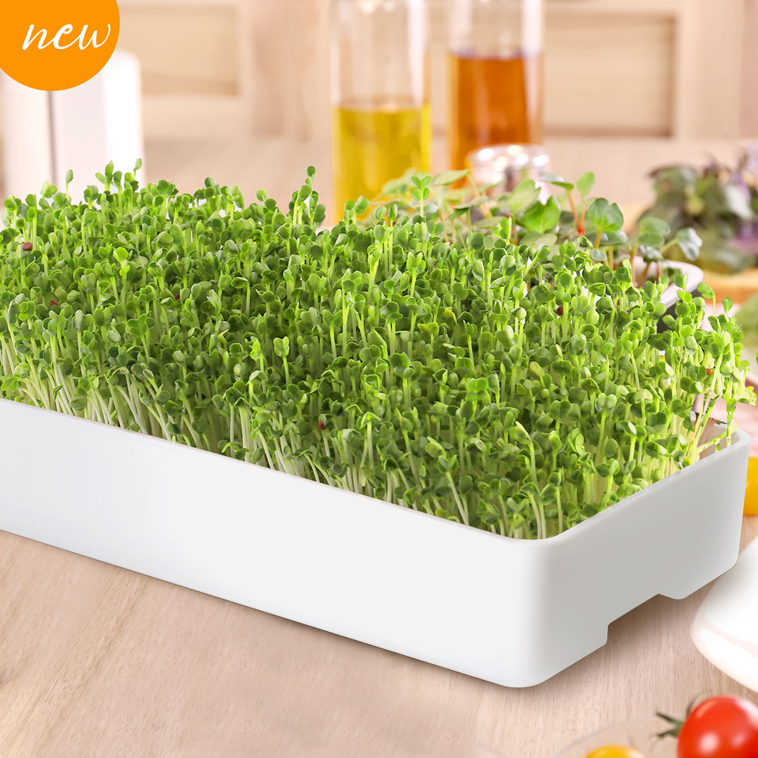I-MG203 Hydroponic Microgreens Seed Starter Kit Indoor Smart Garden