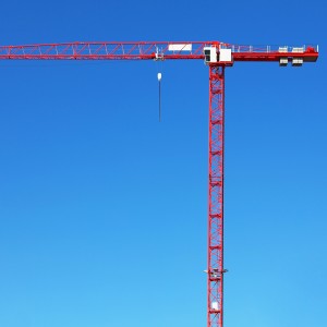 Best quality Tower Crane in China - PT125 Series – YUXINGAN
