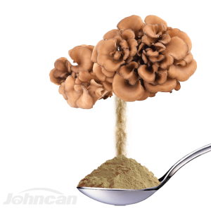 China wholesale Id Card Holder Manufacturers –  Factory Offer Private Label Herbal Mushroom Extract Powder Maitake, Grifola Frondose – Johncan Mushroom