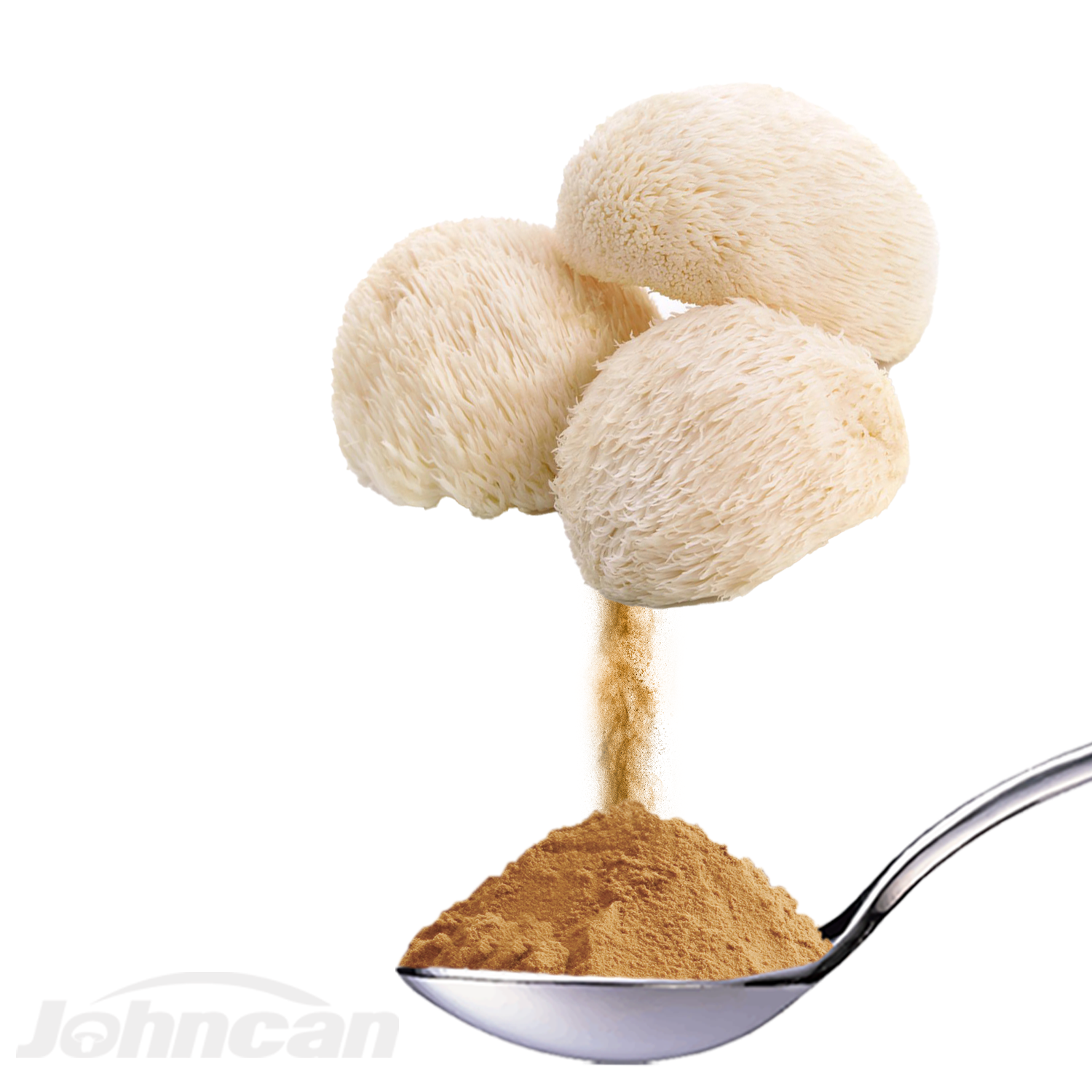 Factory Offer Private Label Herbal Mushroom Extract Powder Lion’s Mane, Hericium Erinaceus