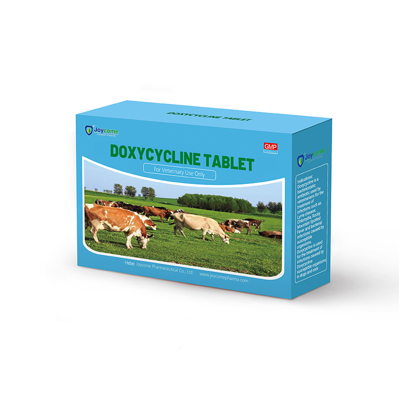 Tablet Doxycycline Hydrochloride kanggo Pemilih Gunakake Gambar Unggulan