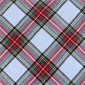 Factory customized 100% Cotton Yarn Dyed Texta Flannel Check Twill Shirt Fabric