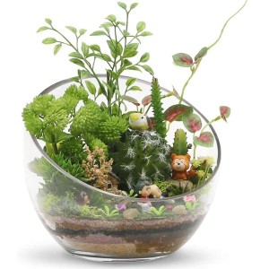 Прозрачна стъклена купа Стъклена наклонена купа с мехурчета за плодове и зеленчуци