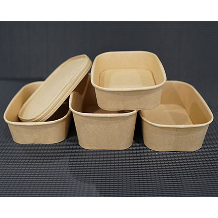 I-Eco Friendly Waterproof and Oil 100% Compostable Square Rectangular Salad Bowls Nesivalo