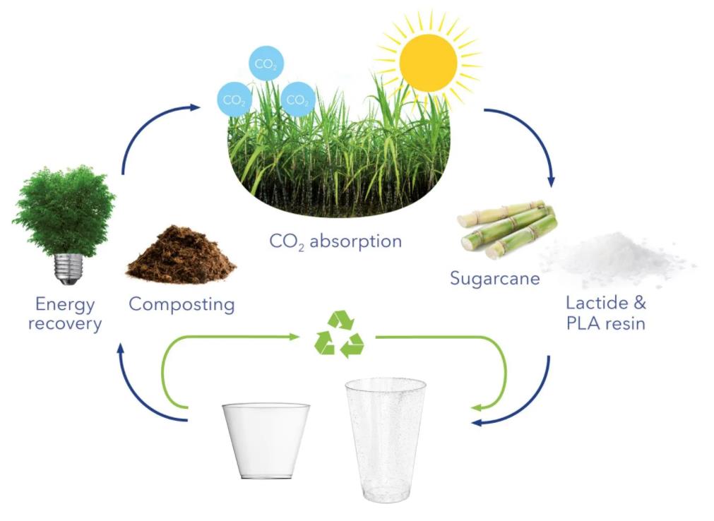 Biorazgradivi proizvodi u odnosu na proizvode koji se mogu kompostirati: u čemu je razlika?