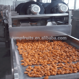 Semi-automatic Apricot Mango Drying Machine