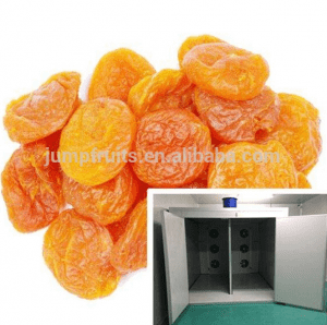 Semi-automatic Apricot Mango Drying Machine