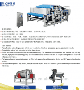 Automatic 100% Pure Banana Juice Drink Production Machine Processing Line