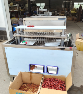 Cherry Pitting Machine All Kinds of Fruits Pitting Machine