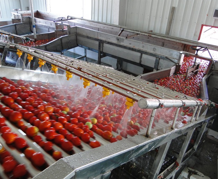 Tomato production machine (tomato juice production line, fruit paste production line)