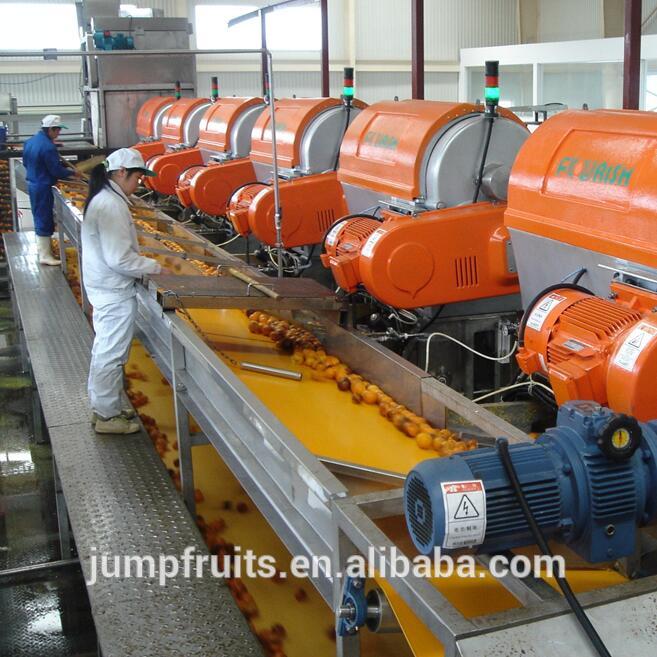 Professinal factory Price Turnkey Project Tomato Paste production line