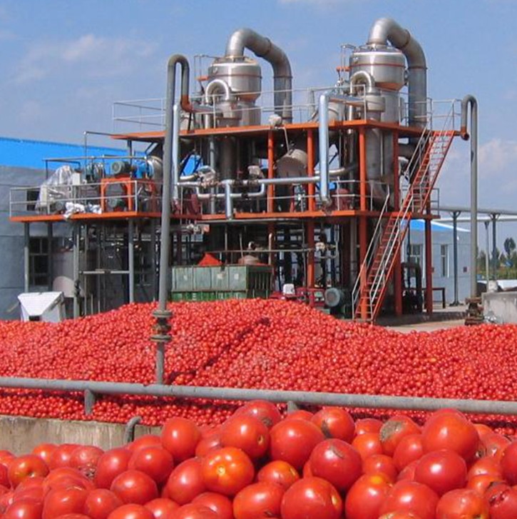 500kg/h to 50T/H tomato paste machine complete production line