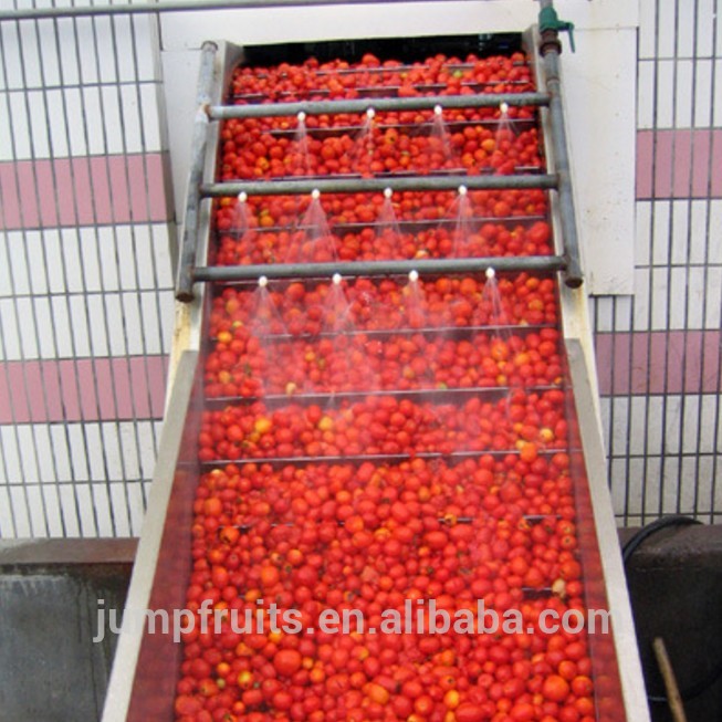 Canned Tomato sauce paste production line Tomato ketchup processing line price