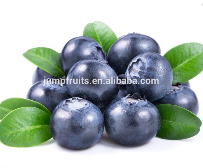blueberry jam manufacture line/blue jam filling and processing line
