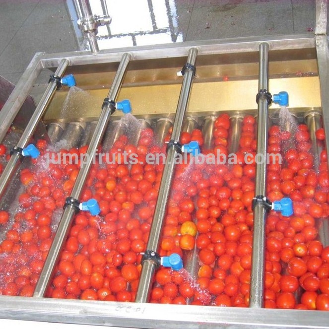 CE of tomato paste making machine made in China