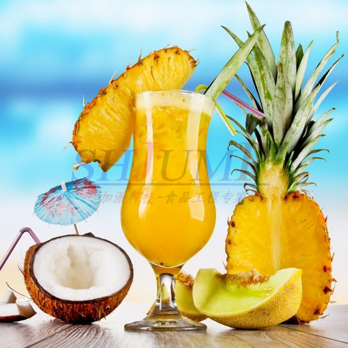 Industrial pineapple cold pressed juicer extractor machine