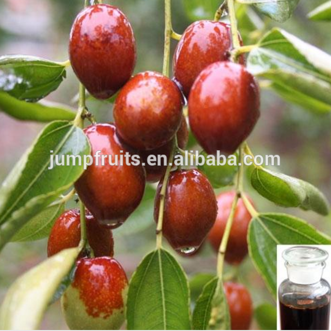 high efficient dates syrup production line / jujube syrup making machine