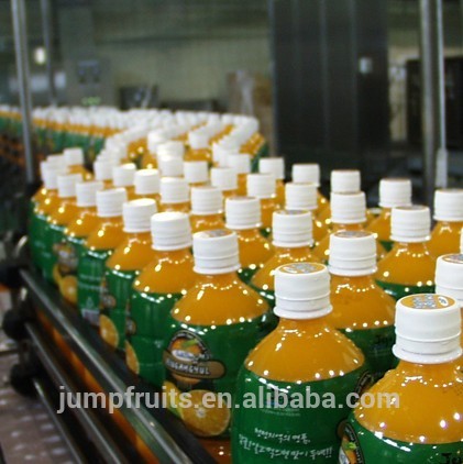 Equipment machine to make lemon orange juice concentrate production