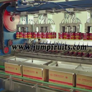 Canned Fish Equipment