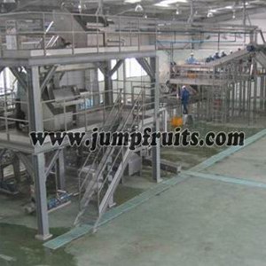 Olive, plum, bayberry, peach, apricot, plum processing machine and production line