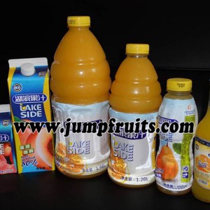 Mango, pineapple, papaya, guava processing machine and production line
