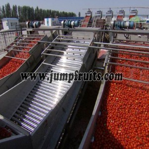 Hot Selling for China Tomato Juice/Paste/Sauce/Ketchup Processing Machine Filling Machine Making Production Machine Mixing Machine Paste Production Machine Sauce Processing Machine