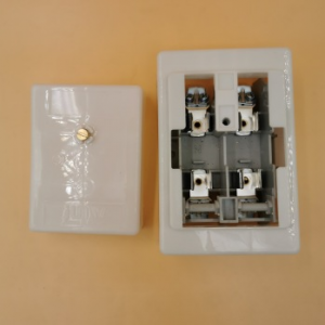OEM Factory for Fuse Link Holder - To supply 1p fuse base AD 22×58 and fuse de type 60A 100A – Junwei